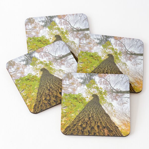 Item preview, Strong tree in autumn designed and sold by Walderfahrung.