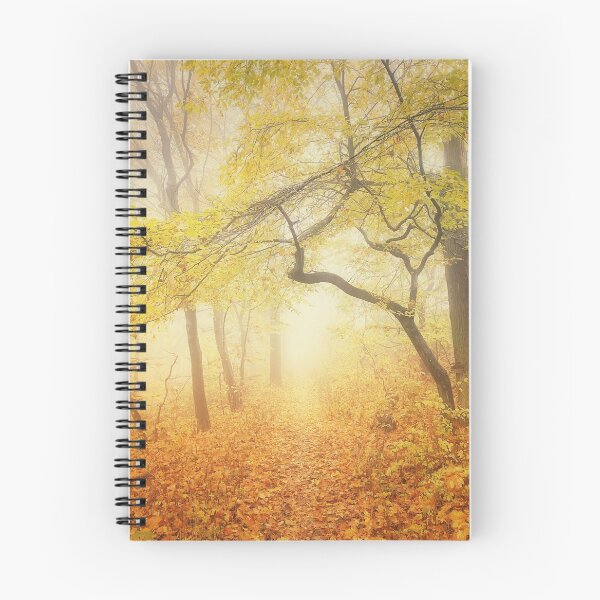 Item preview, A strange path in the woods designed and sold by Walderfahrung.