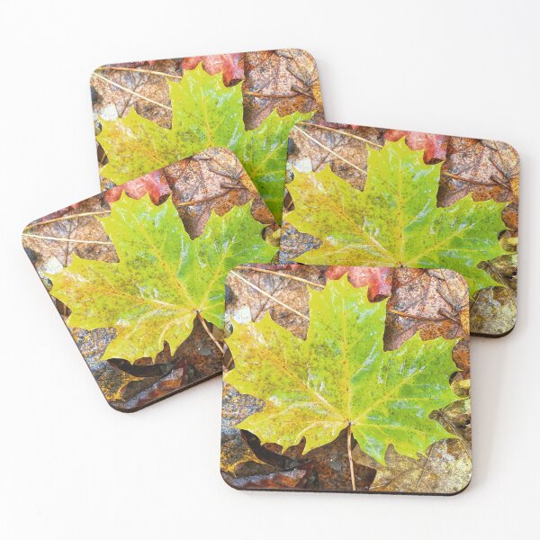 Item preview, Fall leafs in autumn designed and sold by Walderfahrung.