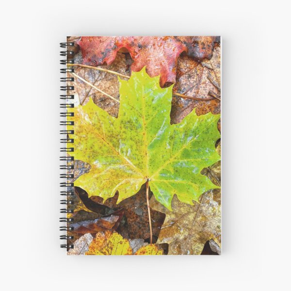 Item preview, Fall leafs in autumn designed and sold by Walderfahrung.