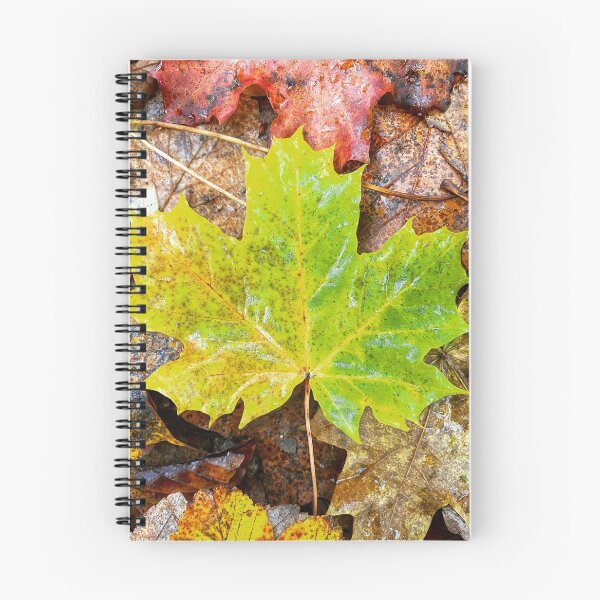 Item preview, Fall leafs in autumn designed and sold by Walderfahrung.