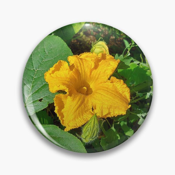 Item preview, Flower and leaves of a pumpkin growing in the vegetable garden.	 designed and sold by trinitronboy.