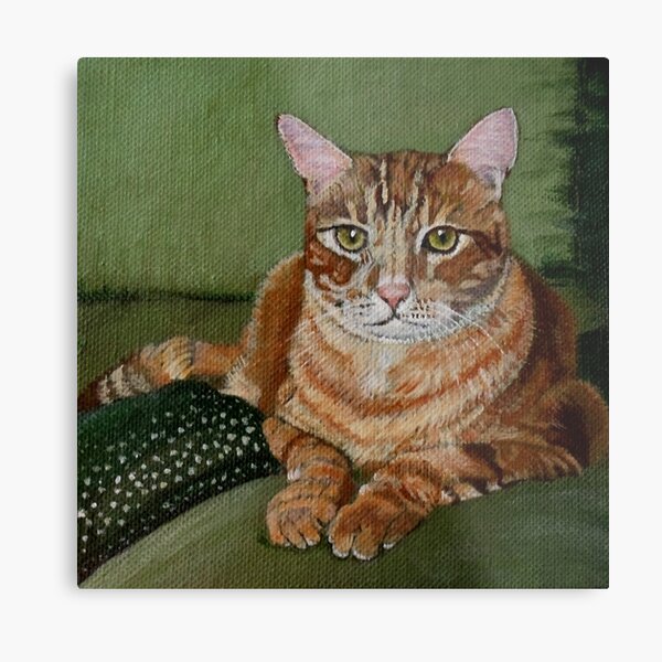 Aperçu de l'œuvre Yellow Tabby créée et vendue par yvonnecarter.