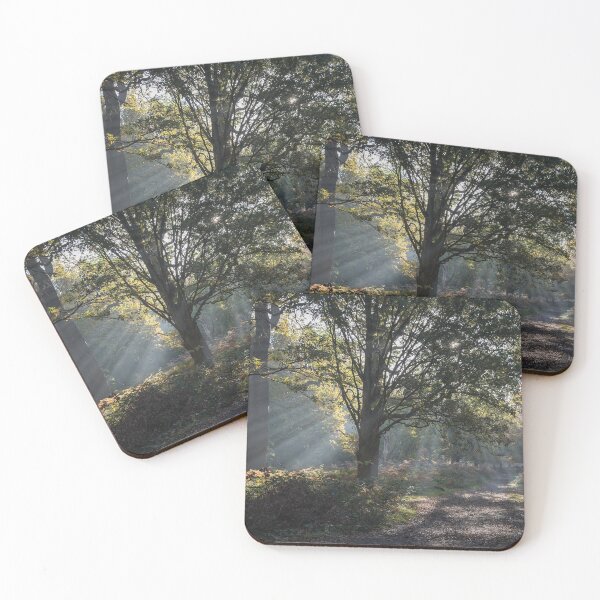 Item preview, Autumn in Richmond Park designed and sold by Steve Liptrot Photography.