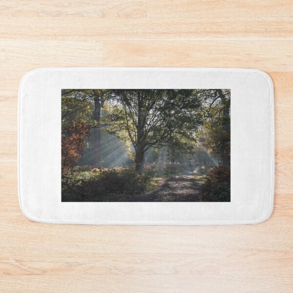 Item preview, Autumn in Richmond Park designed and sold by Steve Liptrot Photography.