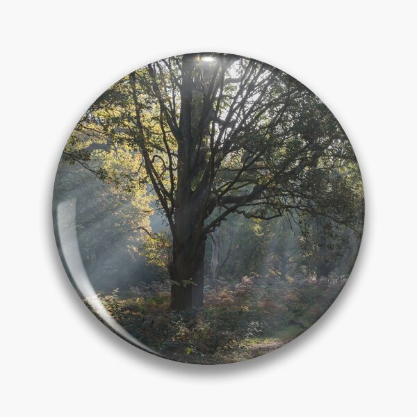 Item preview, Autumn in Richmond Park designed and sold by Steve Liptrot Photography.