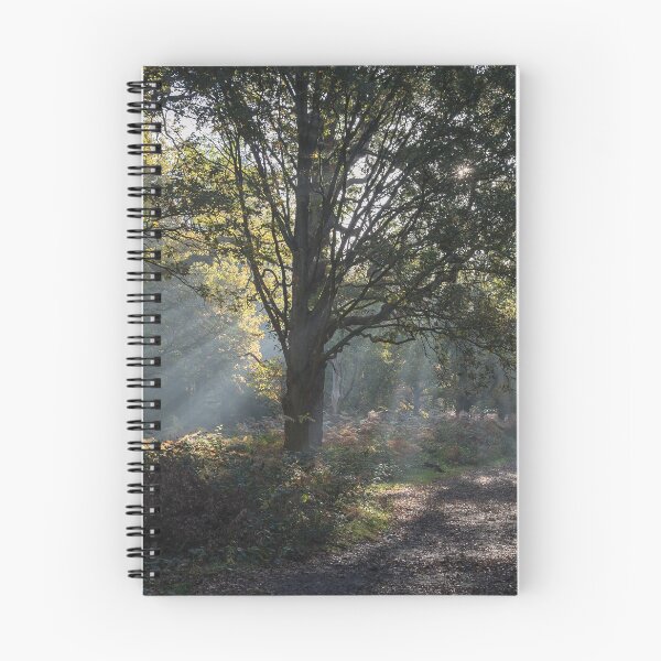 Item preview, Autumn in Richmond Park designed and sold by Steve Liptrot Photography.