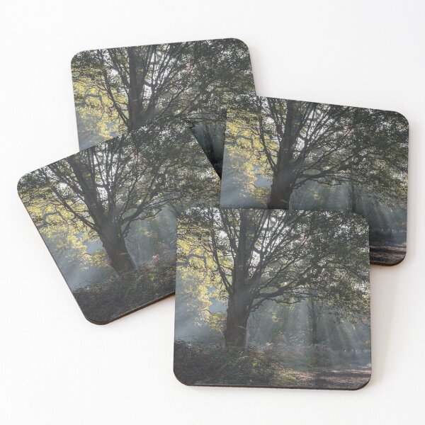 Item preview, Autumn in Richmond Park Woodland designed and sold by Steve Liptrot Photography.
