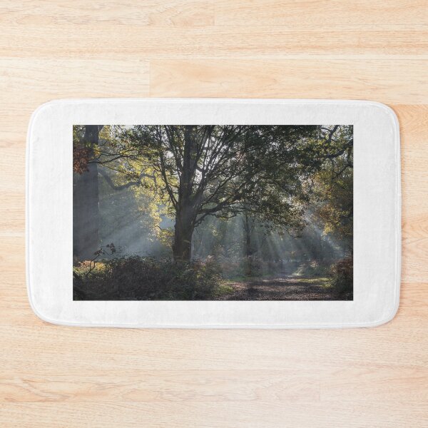 Item preview, Autumn in Richmond Park Woodland designed and sold by Steve Liptrot Photography.