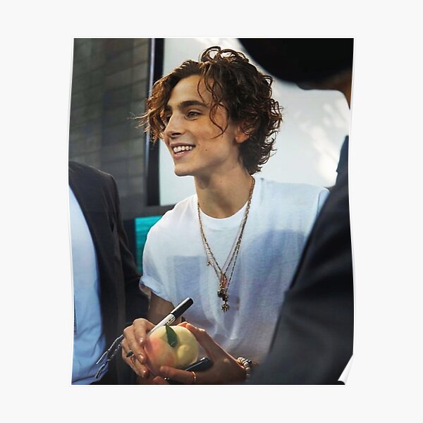 timothee chalamet Poster