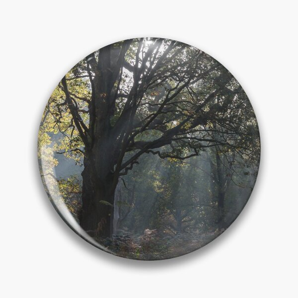 Item preview, Autumn in Richmond Park Woodland designed and sold by Steve Liptrot Photography.