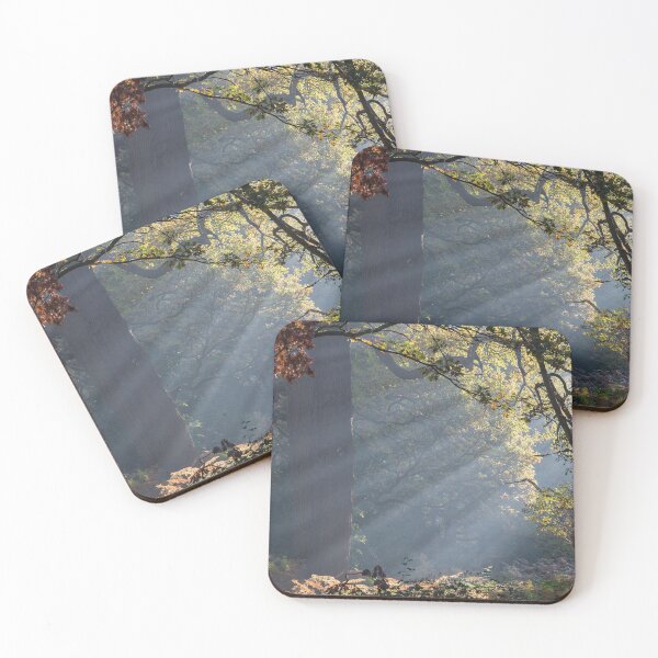 Item preview, Woodland Sunlight designed and sold by Steve Liptrot Photography.