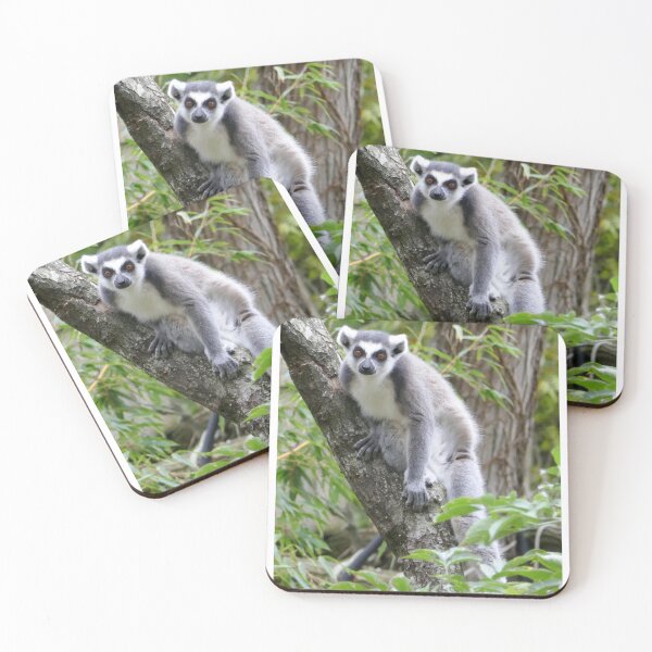 Item preview, Observant lemur designed and sold by willy92.