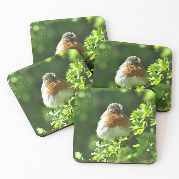 Item preview, Robin in Springtime sunshine designed and sold by rosiephotos.
