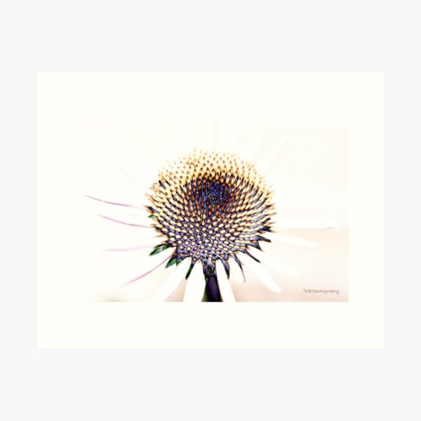 Item preview, Evanescent designed and sold by Karen E Camilleri.