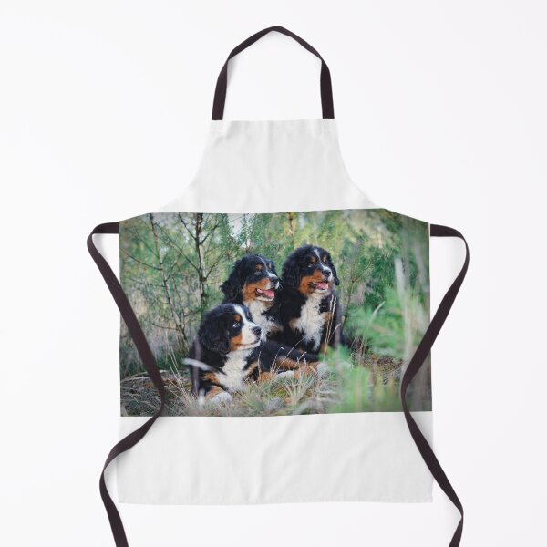 Item preview, Bernese Mountain Dog puppies designed and sold by PetsArt.