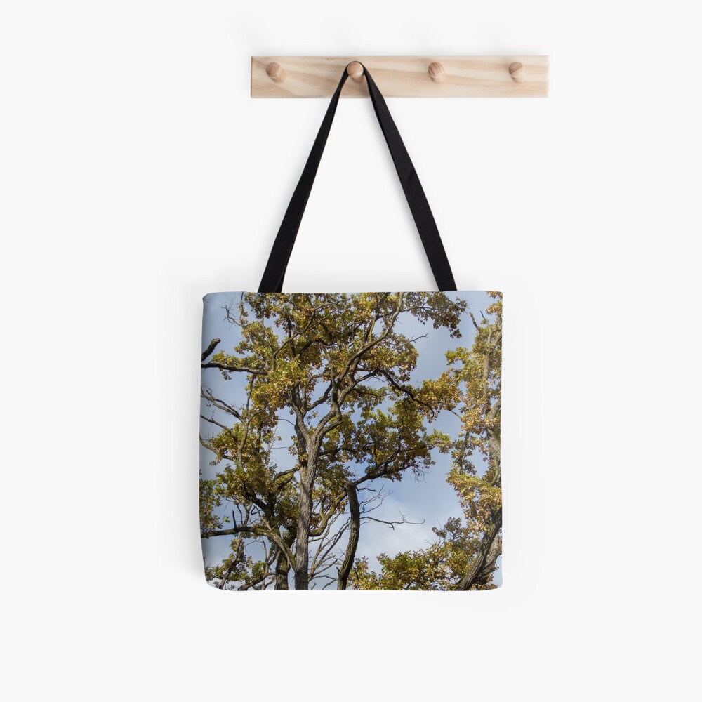 Forest scenery, seen from bellow, clouds in the sky, Autumn, original Tote Bag
