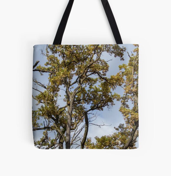 Forest scenery, seen from bellow, clouds in the sky, Autumn, original All Over Print Tote Bag