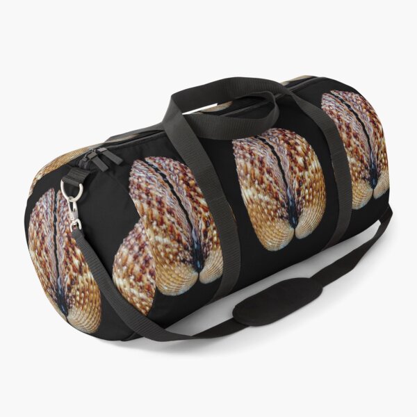 Item preview, A Cockle Shell. designed and sold by John Ray.
