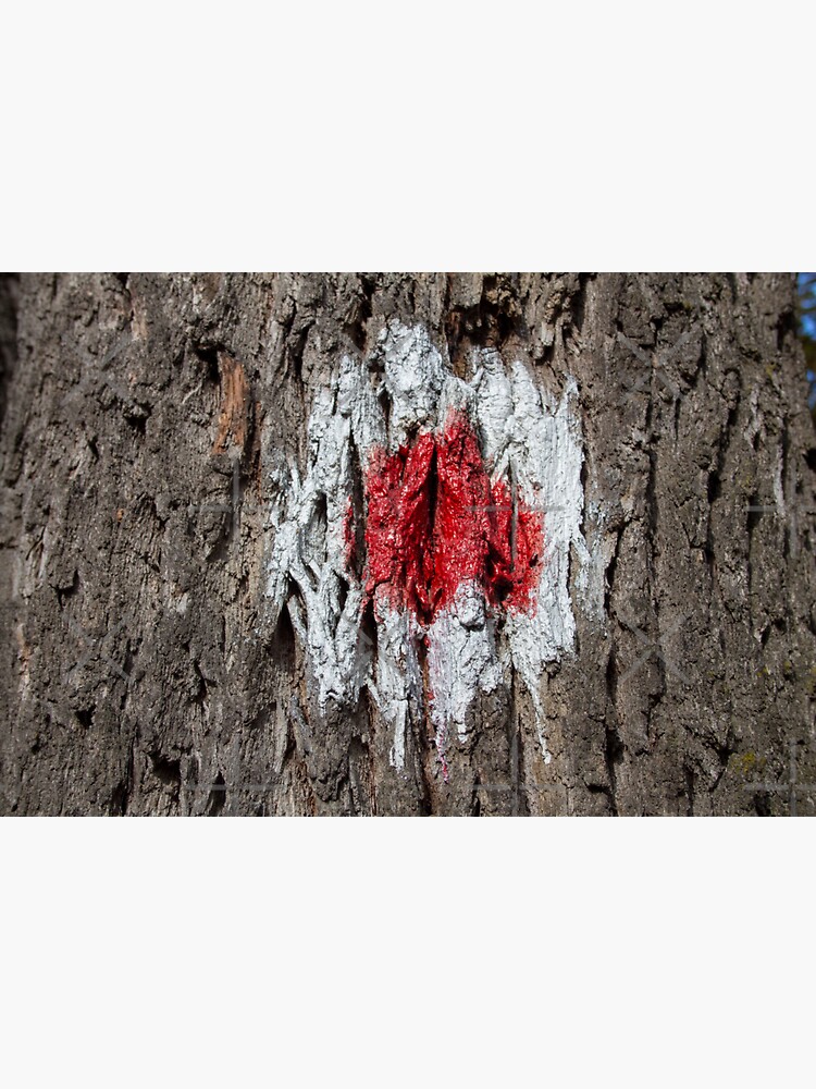 Forest tree, marked with red and white circle, wooded bark texture, original photography by CWartDesign