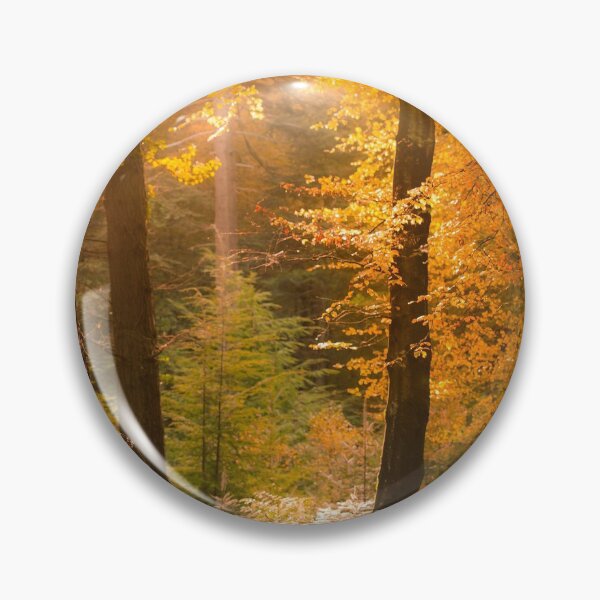 Item preview, Tollymore Forest designed and sold by GaryMcParland.