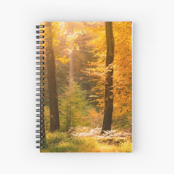 Item preview, Tollymore Forest designed and sold by GaryMcParland.