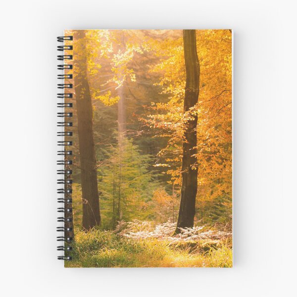 Item preview, Tollymore Forest designed and sold by GaryMcParland.