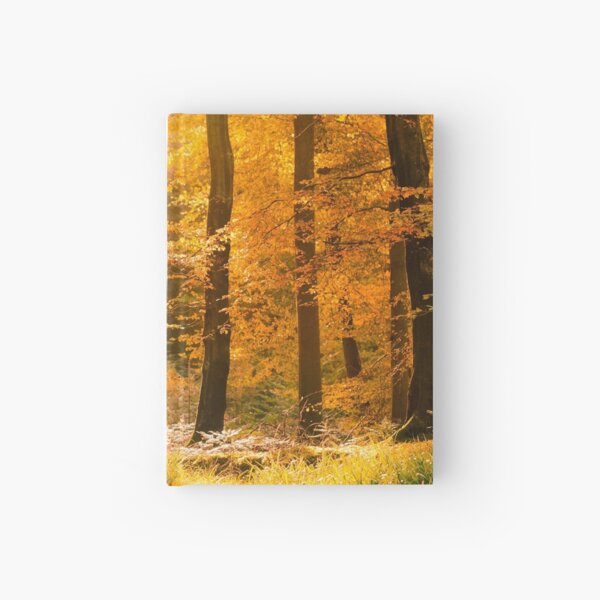 Item preview, Tollymore Forest designed and sold by GaryMcParland.
