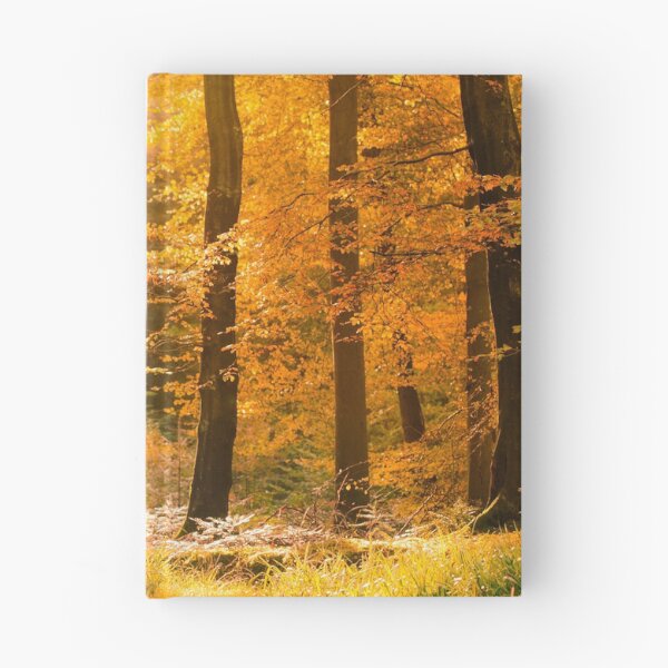 Item preview, Tollymore Forest designed and sold by GaryMcParland.