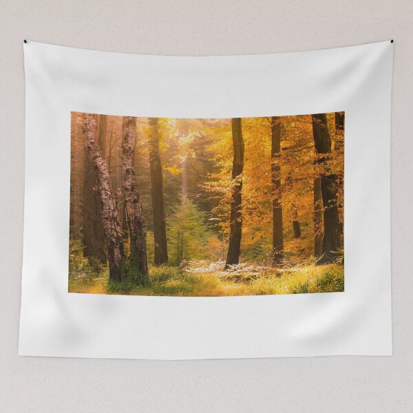 Item preview, Tollymore Forest designed and sold by GaryMcParland.