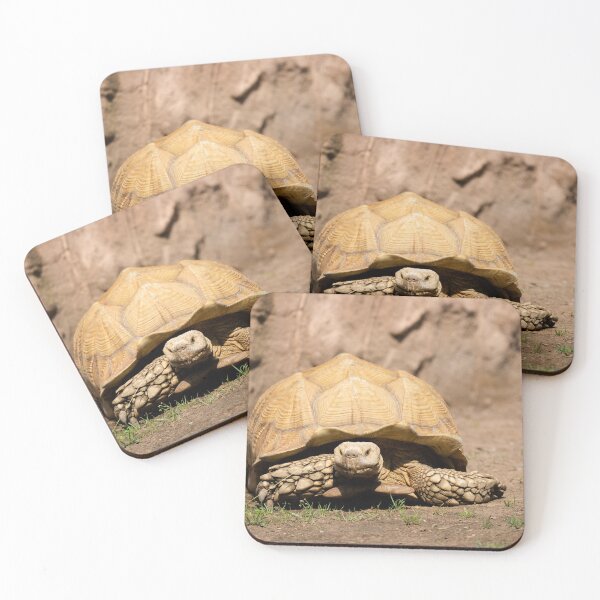 Item preview, African spore turtle designed and sold by Cloudtail.