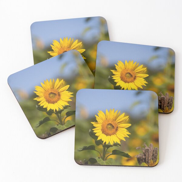 Item preview, Sunflower designed and sold by Cloudtail.
