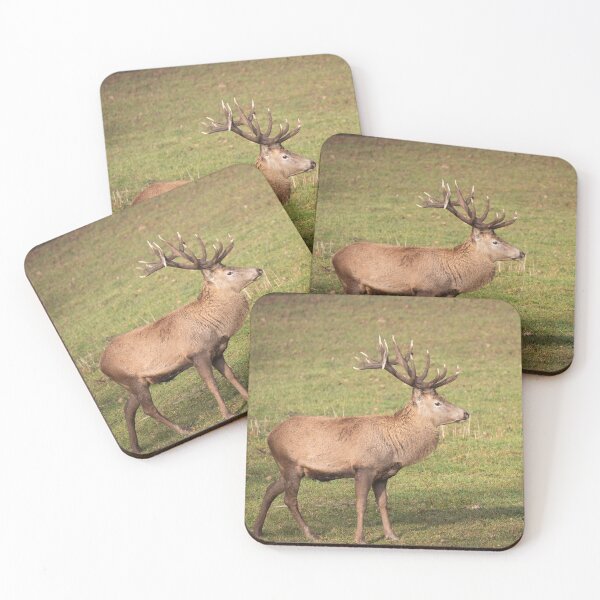 Item preview, Red deer designed and sold by Cloudtail.