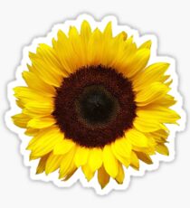 Sunflower Sticker