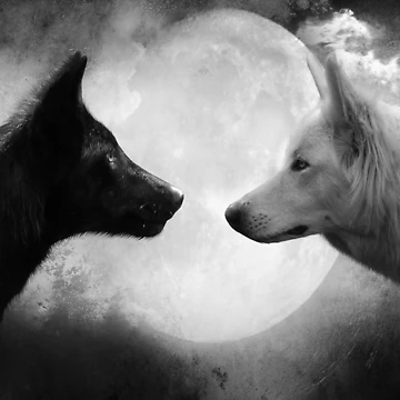Artwork thumbnail, Wolves by DenAns