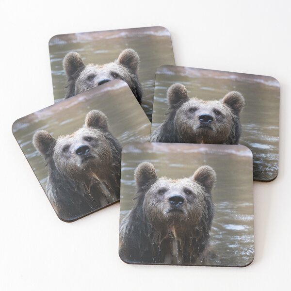 Item preview, brown bear designed and sold by Cloudtail.
