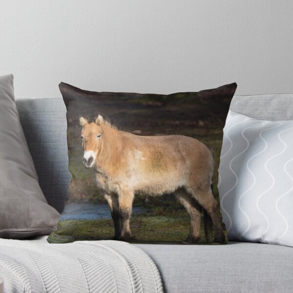 Aperçu de l'œuvre Cheval Przewalski créée et vendue par Cloudtail.
