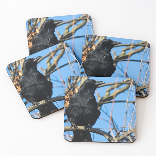 Item preview, Crow designed and sold by Cloudtail.