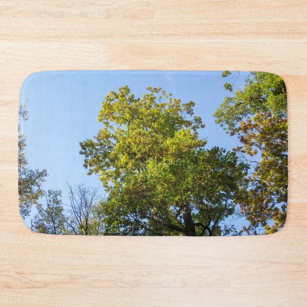 Artikelvorschau, Forest scenery, partial shade, trees seen from bellow, Autumn, original photography entworfen und verkauft von ALCOSHIRTS OFFICIAL.