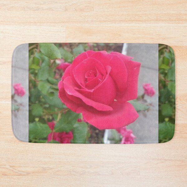 Item preview, Beautiful red rose, natural background designed and sold by helenkaiy.