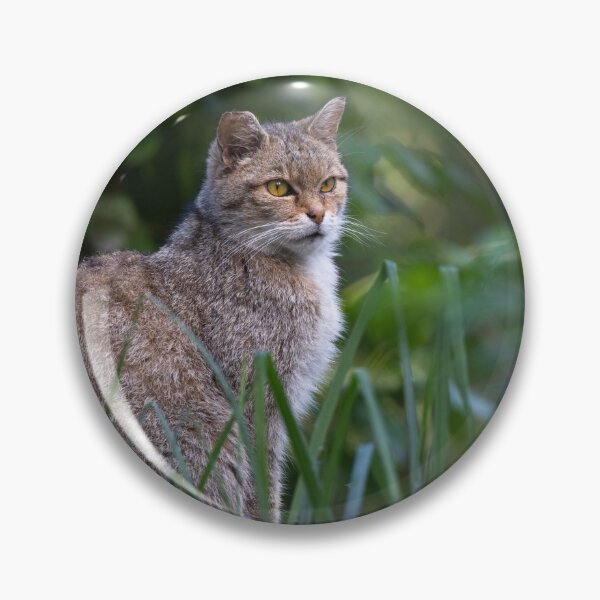 Item preview, Gato montés europeo designed and sold by Cloudtail.