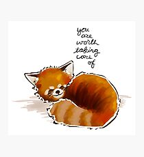 Lámina fotográfica "Vale la pena cuidar" Red Panda