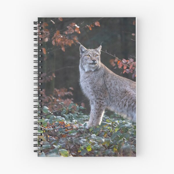 Item preview, Lince designed and sold by Cloudtail.