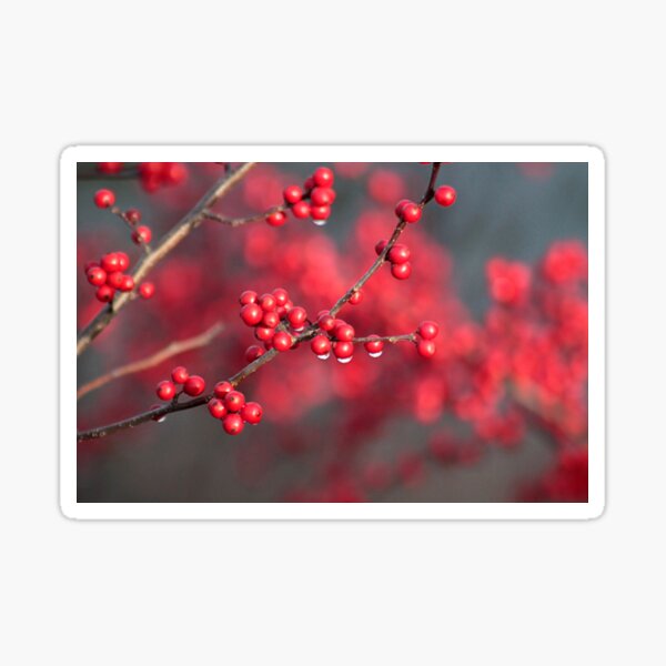 Item preview, Red on red designed and sold by Linda Crockett.