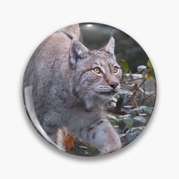 Item preview, lynx designed and sold by Cloudtail.