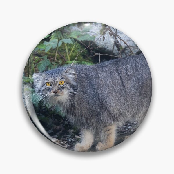 Item preview, Manul designed and sold by Cloudtail.
