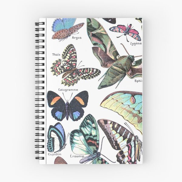 Item preview, Papillons - Adolphe Millot/Larousse Butterflies designed and sold by SFTStudio.