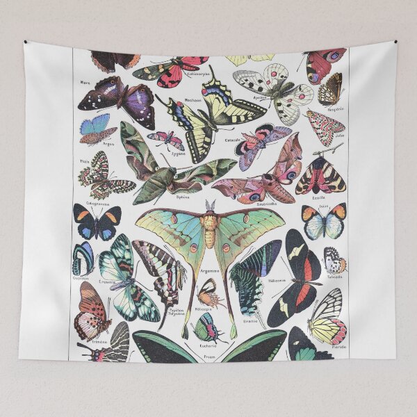Item preview, Papillons - Adolphe Millot/Larousse Butterflies designed and sold by SFTStudio.