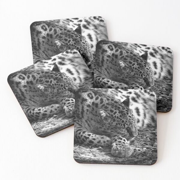 Item preview, Leopard Lies Sleeping Black and White designed and sold by KbytesOfJax Outdoor and Nature.