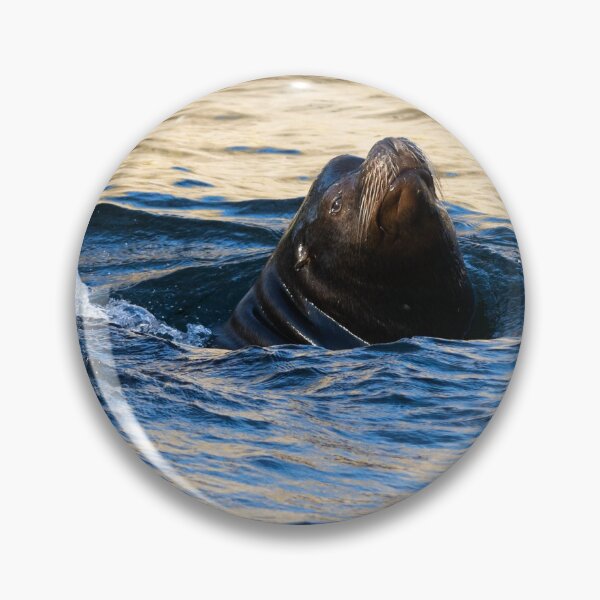 Item preview, Sea lion designed and sold by Cloudtail.